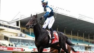 【豪・コックスプレート】昨年の英ダービー1番人気サードラゴネットがG1初制覇、節目の第100回開催制す/海外競馬レース結果