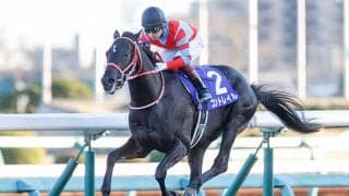 【菊花賞予想】 史上3頭目の無敗の3冠へ向けて視界良好!? 的中のポイントはコントレイルの相手探し!?/JRAレース展望
