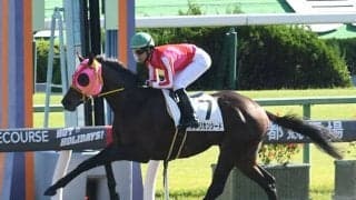 【京都8R・3歳上1勝結果】初ダートのアメリカンシードが7馬身差圧勝、驚愕の上がり34秒7