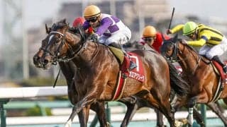 【菊花賞予想】 2週連続での無敗の3冠馬誕生なるのか？ 消去法がコントレイルの可能性を精査する！/JRAレース展望