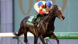 【盛岡・OROターフスプリント結果】ツーエムマイスターが移籍後3連勝で重賞初V