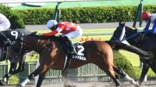 【室町S結果】レッドルゼルがゴール前で差し切りV