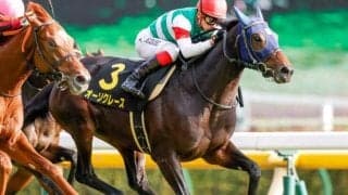 【アイビーS結果】オーソクレースが無傷の2連勝