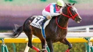 【東京5R新馬戦結果】グラティアスが逃げ切り新馬勝ち