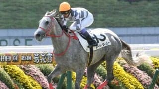 【京都5R新馬戦結果】外国産馬スーパーウーパーが逃げ切り勝ち