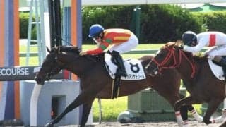 【京都4R新馬戦結果】アメリカンファラオ産駒ロシアンサモワールが人気に応えてV