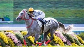 【新馬/京都5R】武豊 スーパーウーパーがデビューV