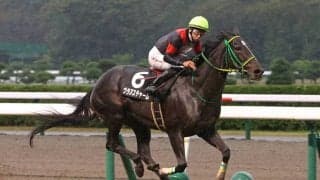 【新潟牝馬S】ウラヌスチャームが7馬身差圧勝！最内から抜け出す
