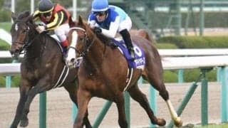 【スワンS出走馬決定順】フルゲート18頭に16頭　ベステンダンク・プロディガルサンはカシオペアSにも登録