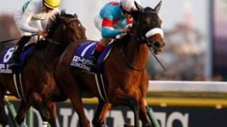 【天皇賞・秋】フルゲート18頭に12頭　アーモンドアイ・クロノジェネシスなど/出走馬決定順