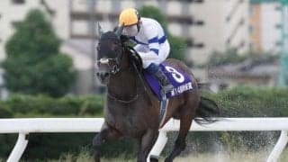 【JBCレディスクラシック】サラーブら3頭が回避、ダノンレジーナは本橋孝太騎手に