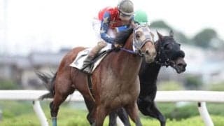 【JBCスプリント】ブルドッグボスは御神本訓史騎手　エイシンエンジョイ回避でクルセイズスピリツが繰り上がり