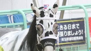【地方競馬】お馬さんだけど牛柄メンコ「ホットミルク」がデビュー！