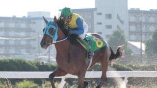 【ゴールドウィング賞予想】ナムラタイタン産駒ブンブンマル、坂路で力つけ重賞へ/NARレース展望