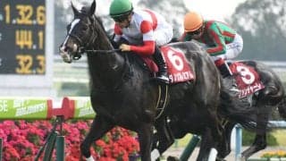 【天皇賞・秋展望】秋古馬三冠の第1弾、あの馬の巻き返しを期待したい