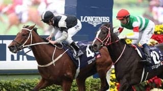 【香港ヴァーズ】登録馬55頭中21頭がG1馬　クロノジェネシス、エグザルタント、アンソニーヴァンダイクなど