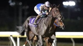 【船橋・平和賞結果】マカベウスが人気に応えて差し切りV、重賞初制覇