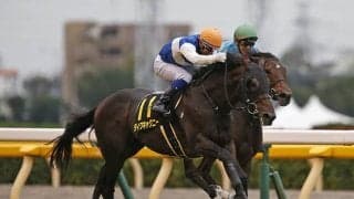 【天皇賞・秋予想】 1番人気がGI4連勝なら2着候補でひとヒネり！ 馬場と展開を味方につけられそうな馬は？/JRAレース展望