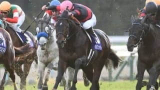 【次走】ペルシアンナイトはマイルCSへ　2017年の優勝馬