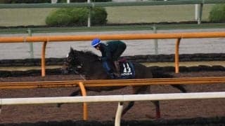 メイケイエール、ファンタジーS1週前追い切り速報/栗東トレセンニュース