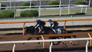 アールスター、アルゼンチン共和国杯1週前追い切り速報/栗東トレセンニュース