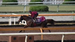 ラッキーライラック、エリザベス女王杯2週前追い切り速報/栗東トレセンニュース