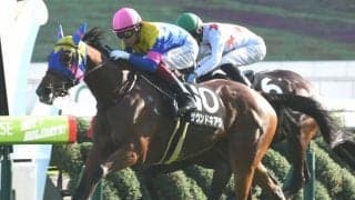 【スワンS予想オッズ】サウンドキアラが予想1番人気