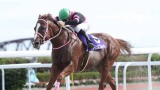 【ゴールド争覇予想】逃げるクインズプルートか、移籍初戦ダノンフェイスか/NARレース展望