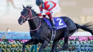 【JRA】ホープフルS当日の12月26日(土)にもWIN5を発売　1レース目は中山大障害