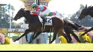 【新馬/京都4R】ディープ産駒 サナティオがデビューV！ダービー馬全妹は3着