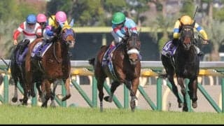 【天皇賞・秋】出走馬の「調教後の馬体重」