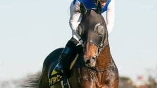 天皇賞・秋の穴は今が充実の６歳馬。アーモンドアイ絡みでも好配当になる