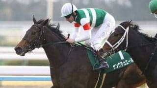 厩舎スタッフが「ものすごくいい」と絶賛する良血馬リエヴェメンテ