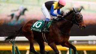 【アルゼンチン共和国杯見どころ】ユーキャンスマイルが人気の中心