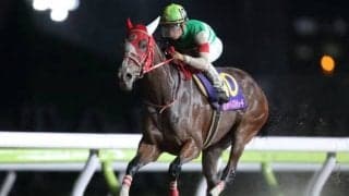 火曜日はJBC、週末のJRAは4重賞と注目レースが目白押し/今週の競馬界の見どころ