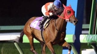 【盛岡・知床賞結果】ゴールデンヒーラーが2番手から抜け出し快勝