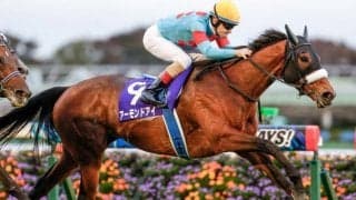 【天皇賞・秋結果】アーモンドアイが連覇達成！ 史上初の芝GI・8勝目！