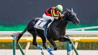 【東京4R新馬戦結果】グレートマジシャンが人気2頭の競り合いを制す