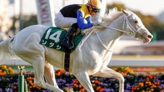 【アルテミスS回顧】驚異的な活躍を見せる“白毛ファミリー”/栗山求コラム