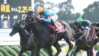 【JRA】今年の京都リーディングは川田将雅騎手　勝率3割超えの46勝、重賞2勝