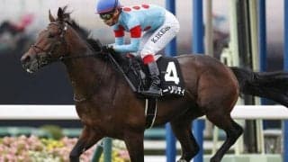 【アルゼンチン共和国杯 出走馬決定順】フルゲート18頭にユーキャンスマイル・オーソリティら22頭