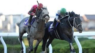 【大井・JBCクラシック予想】 3強ですんなりとは決まらない!? 枠順と展開から割り出した“一角を崩す可能性のある”1頭とは!?/地方競馬レース展望