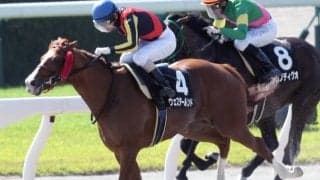 【みやこS出走馬決定順】フルゲート16頭にワイドファラオ・クリンチャーなど11頭