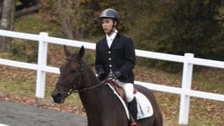 【馬術部】　全学総合が開幕し、馬場馬術競技で奮闘