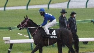 【JBC2歳優駿】枠順と見所 タイセイアゲインは6枠9番