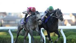 【大井・JBC予想】 ダートの祭典で注目の血統は3冠馬と異なる!? 亀谷敬正が紐解くJBC攻略法/地方競馬レース展望