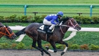 【門別競馬情報】かつて圧倒Vの王者と同じ臨戦パターン!JRA2戦2勝馬タイセイアゲインの走りが特に注目。迎え撃つ地方9頭の走りも大いに楽しみ「第1回JBC2歳優駿JpnIII」/地方競馬情報