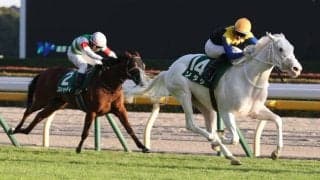 【アルテミスS】白毛のソダシがデビューから3連勝