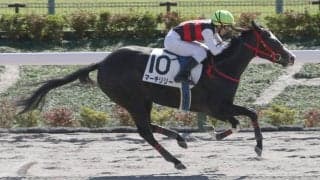 【新馬/東京4R】マジェスティックウォリアー産駒 マーチリリーがデビューV