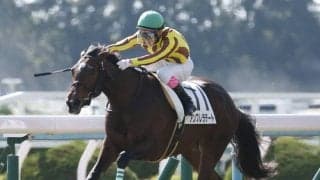 【新馬/京都4R】母ダイワスカーレット、アンブレラデートがデビューV